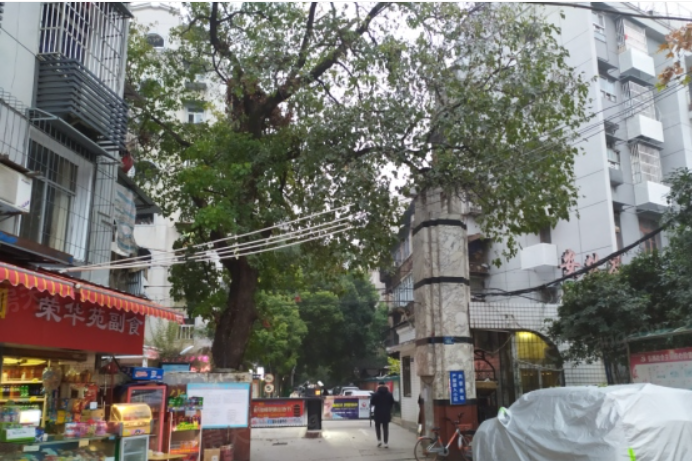 长久不衰老地方-69俱乐部